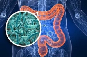 Healthy Microbiome