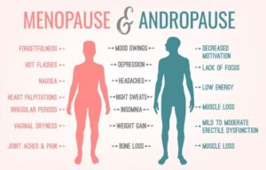 menopause and andropause